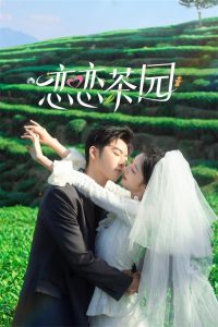 Love in the Tea Garden: Season 1