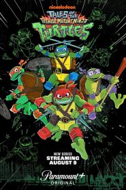 Tales of the Teenage Mutant Ninja Turtles: Season 1