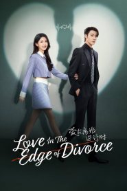 Love in the Edge of Divorce: Season 1